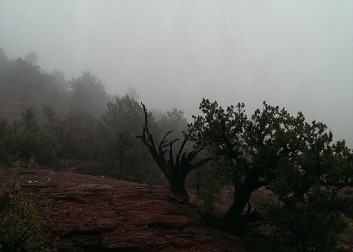 Fog in Sedona