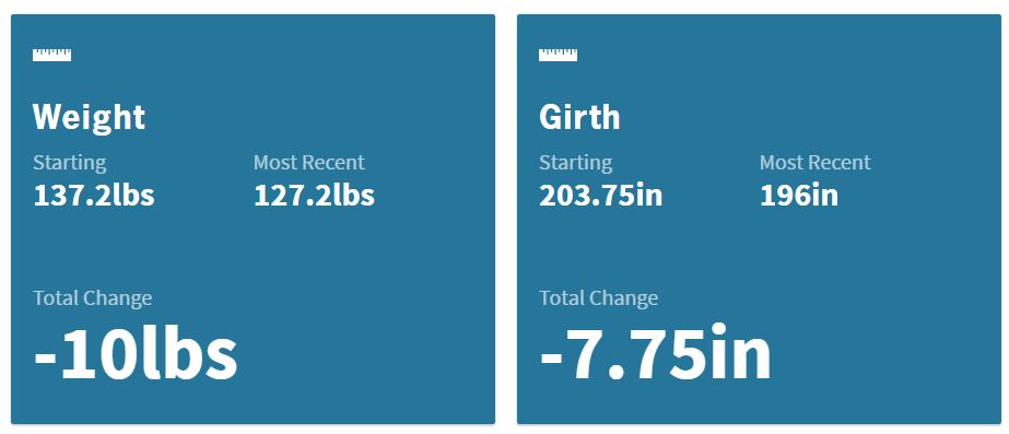 Precision Nutrition Progress - 18 weeks