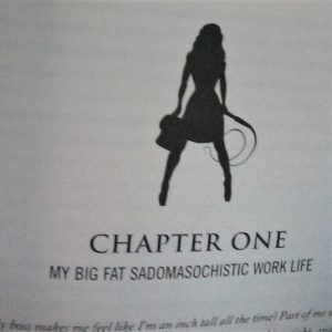 Image from The Corporate Dominatrix by Lisa Robyn