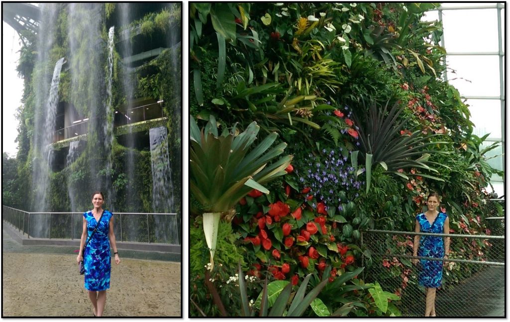 Inside the Cloud Forest Singapore