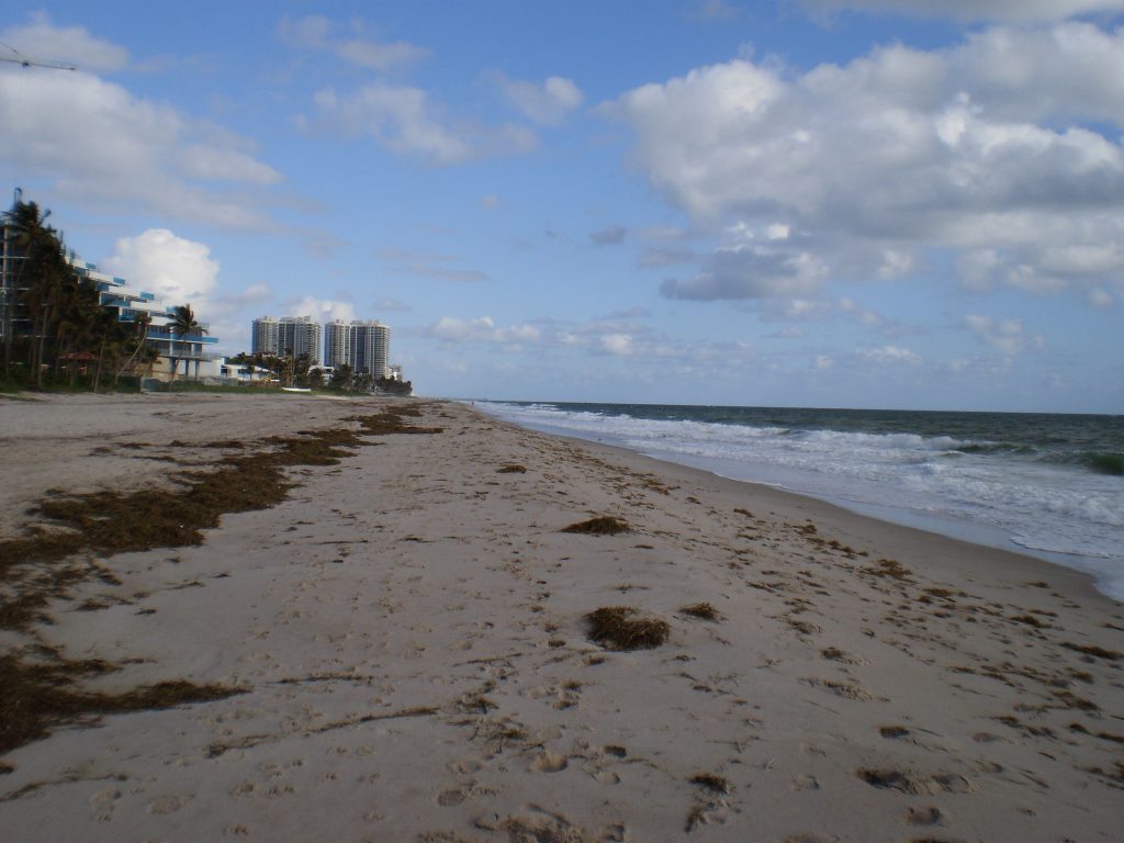 Fort Lauderdale Beach