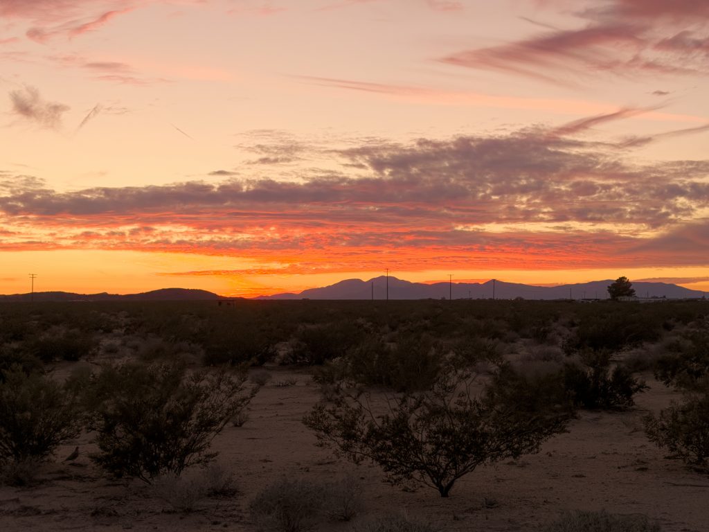 Joshua Tree - View from Cabin