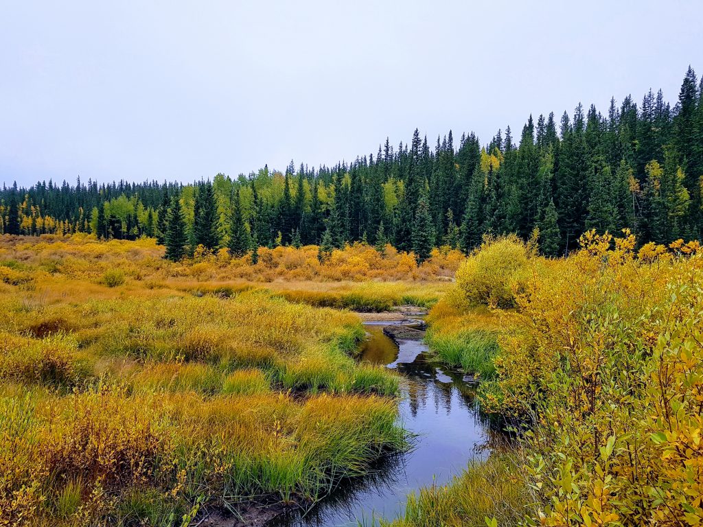 Fall Kenosha Pass Photo