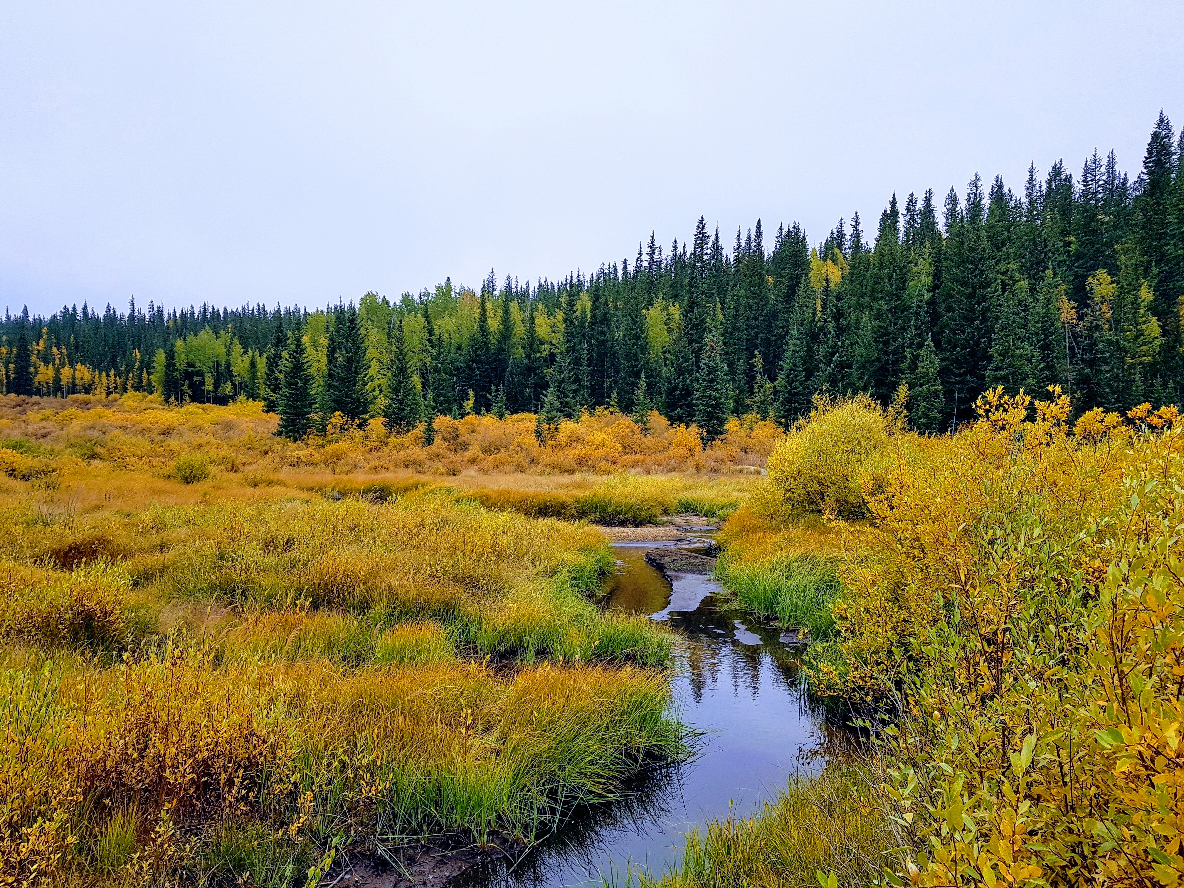 Kenosha Pass – Peak Fall Colors