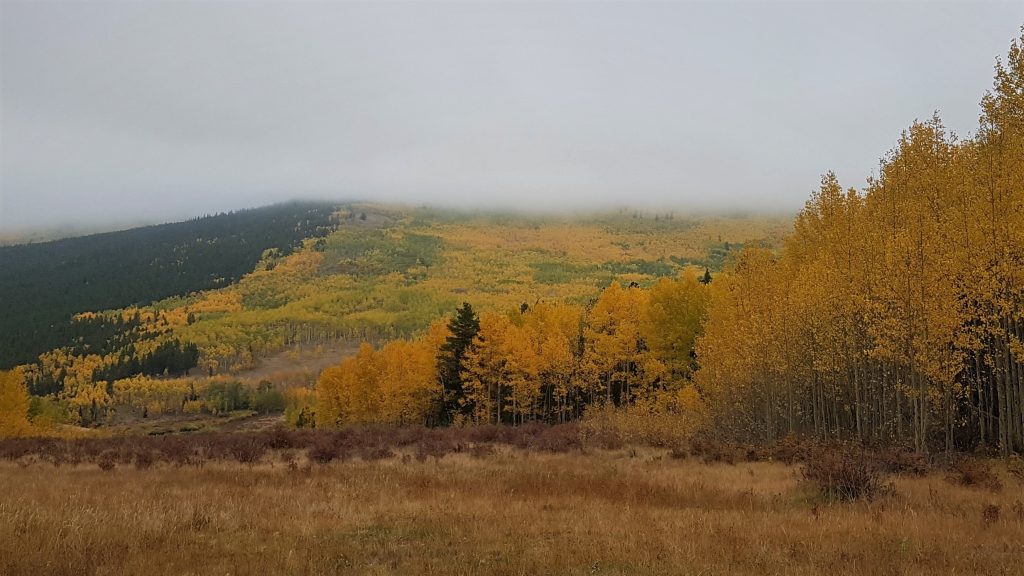 Kenosha Pass with Mist on the Mountain. So pretty. 