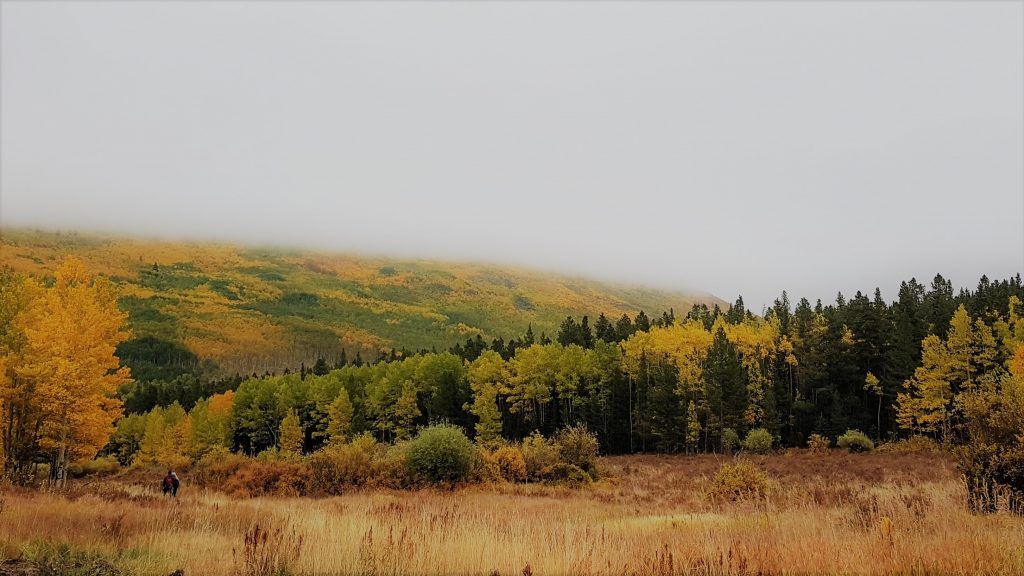 Kenosha Pass with mist on top of moutain. 