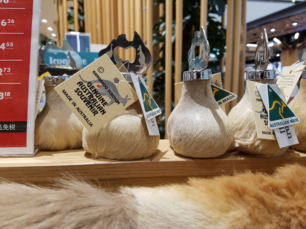 kangaroo souvenirs