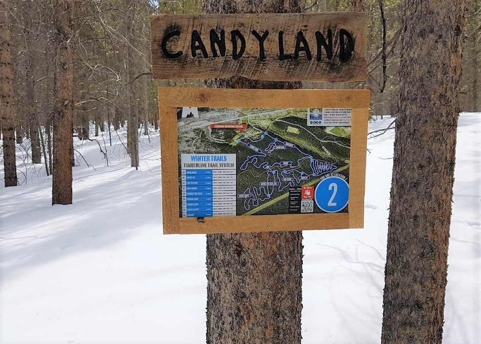 Image of sign near Leadville on trails called "Candy Land"